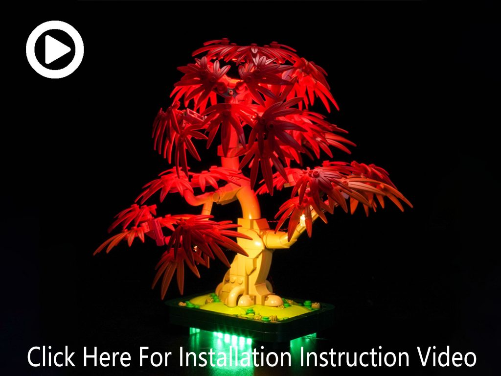 10348 Japanese Maple Tree GC1064 – instruction